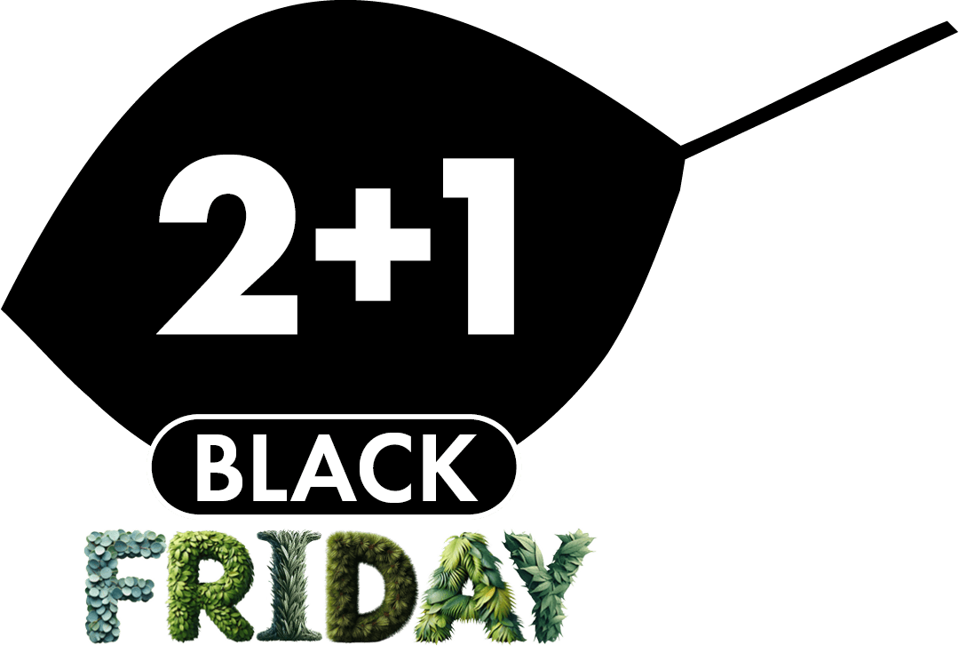 BLACK FRIDAY 2+1 GRATIS