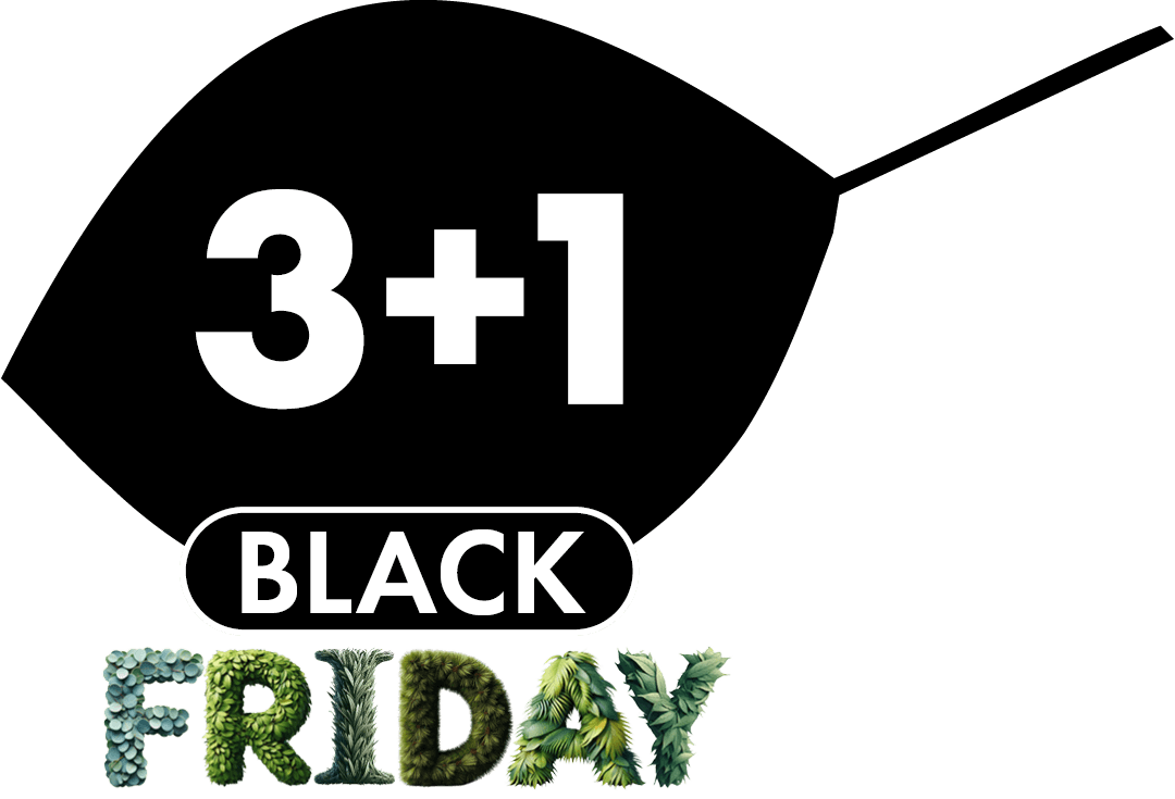 BLACK FRIDAY 3+1 GRATIS