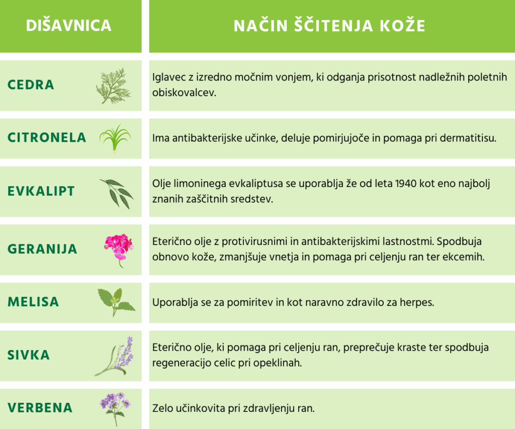 Dišavnice, ki nudijo učinkovito, varno in naravno zaščito pred nadležnimi obiskovalci